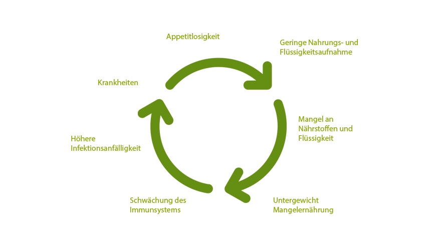 Schaubild zur Darstellung des Kreislaufs der Mangelernährung