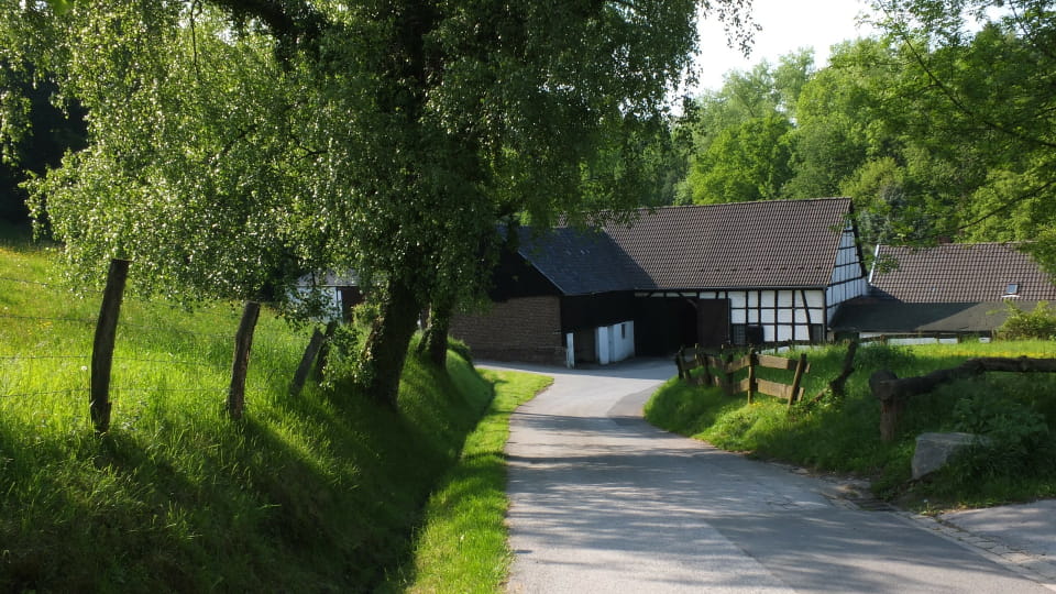 Das Neandertal in Mettmann