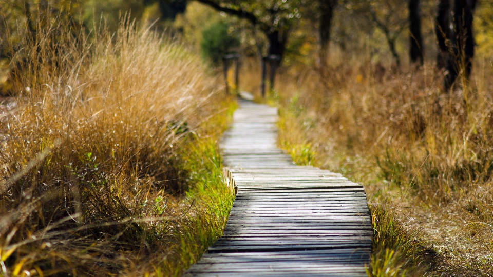 Einer der vielen Wanderwege im Kreis Pinneberg